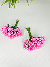 Дрібноцвіт яскраво-рожевий