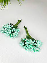 Дрібноцвіт тіффані