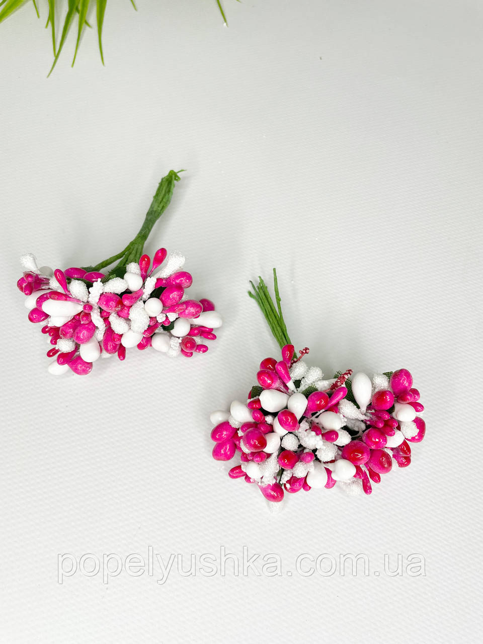 Дрібноцвіт комбінований біло-малиновий, фото 1