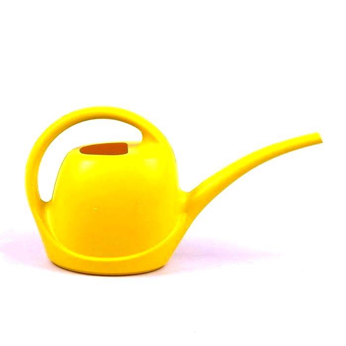 Лійка-поливайка для кімнатних рослин Еталон-С 1.1 л