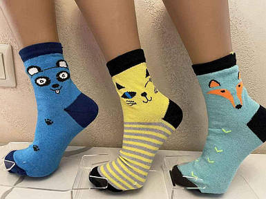 Шкарпетки жіночi Морди (12 пар/уп) р.23-25 ТМ Житомир FG