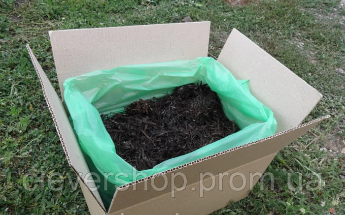 Грибная коробка Белого шампиньона Готовый набор для выращивания грибов ...