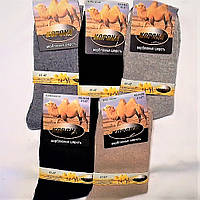 Теплі чоловічі однотонні шкарпетки з верблюжої вовни різних кольорів на 41-46 розмір.