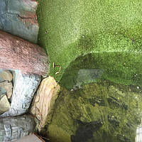 трава искусственная для террариума АС ОБЛИК