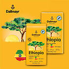Мелена кава Dallmayr Ethiopia якісна 100% арабіка 500 грамів, фото 4