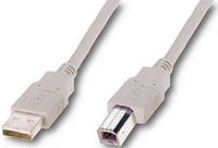 Atcom USB 2.0 AM/BM (6152) 0.8m (06152)