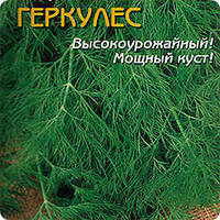 Насіння кропу зазвичай Кустове