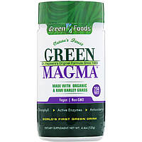 Green Foods, Green Magma, 500 мг, 250 таблеток Днепр