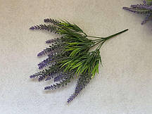 Кущ лаванди 35 см