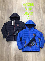 Куртки для хлопчиків гуртом, розміри 8-16 років, S&D, арт. KK-1255