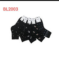 Жіночі Шкарпетки ,демисезонні , з візерунками. Виробник Польща .