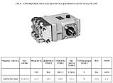 SPECK ТРІХПЛУНЖЕРНИЙ НАСОС ВИСОКОГО ДАВЛЕННЯ SPECK NP25/30-200, фото 2