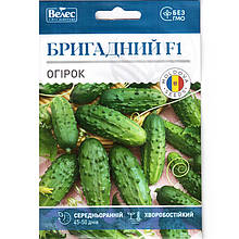 Насіння огірка середньораннього, для відкритого грунту "Бригадний" F1 (2,5 г) від ТМ "Велес"