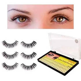 Пучкові вії і стрічкові