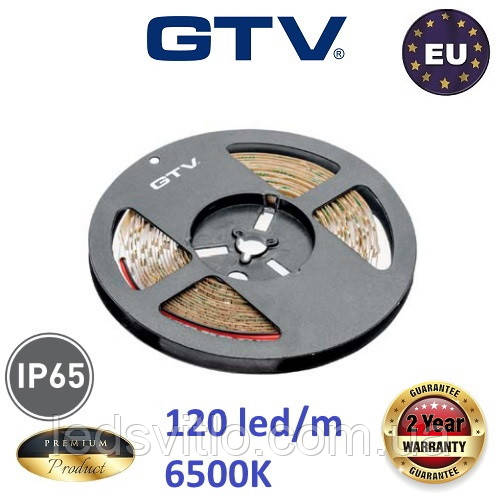 5 метрів, Світлодіодна стрічка GTV Premium 12V, SMD 2835, 120 led/m, 19W, 1350Lm, 10мм, IP65, 6500K Білий холодний колір світла, фото 1