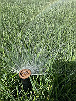 Системи автоматичного поливу - максимально легко