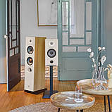 Focal Chora 816 Black, фото 9