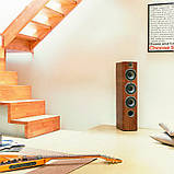 Focal Chorus 726 Black Style, фото 10