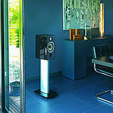 Focal Aria 906 Black High Gloss, фото 10