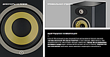 Focal Aria K2 936 Ash Grey, фото 6