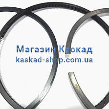 Гільзо-поршнева група Std 120-мм ТАТРА815 442010010144, фото 5