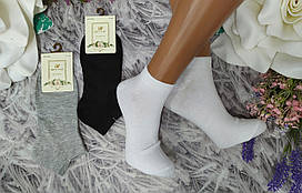 Шкарпетки жіночі р. 37-40 бавовна короткі стрейч, за 1 пару Шугуан 2255-2