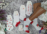 Шкарпетки жіночі р. 36-41 бавовна короткі стрейч, за 1 пару Корона 2984