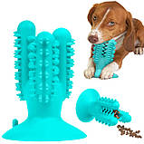 Іграшка для собак Bronzedog PetFun Dental кактус на присоску, фото 3