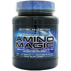 Амінокислоти Scitec Nutrition Amino (500 грам.)