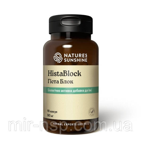 Гіста блок Hista block НСП