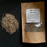 Зіра (кумін), 50 грам крафт пакет, фото 2