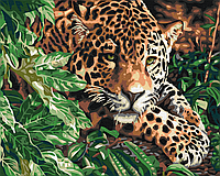 Картина по номерам Леопард с изумрудными глазами 40x50 Картины в цифрах животные Раскраска Brushme BS51754