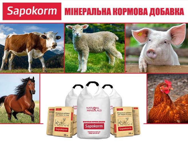 Україні розпочали виробництво унікальної природної мінеральної добавки САПОКОРМ для відгодівлі тварин та птиці
