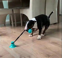 Іграшка для собак канат на присосці з м'ячем синій, фото 3