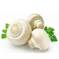 Топ 3 страви з печериць