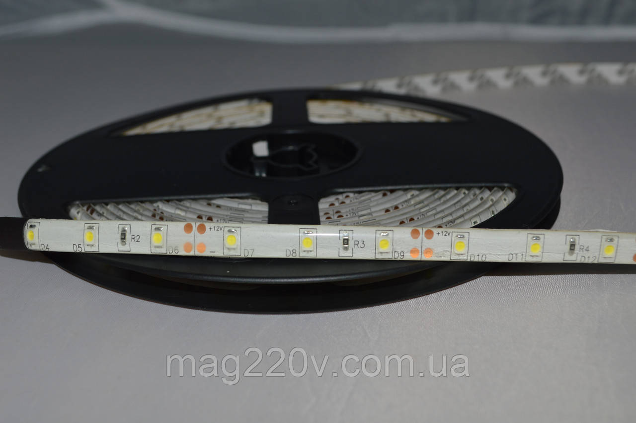 LED лента SMD3528 60 D/m IP 65 ( CW )