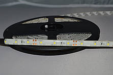 LED лента SMD3528 60 D/m IP 65 ( CW )