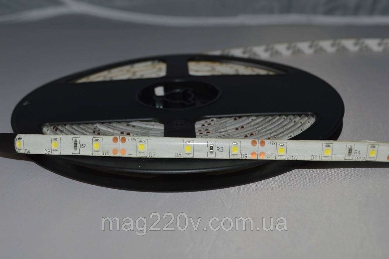 LED лента SMD3528 60 D/m IP 65 ( CW ) - фото 1 - id-p296408059