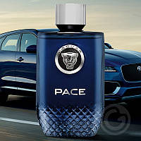 Мужская туалетная вода Jaguar Pace (оригинал; 100 ml)