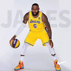 Жовта баскетбольна форма Леброн Джеймс 6 Лейкерс Nike James Los Angeles Lakers Icon Edition 2023