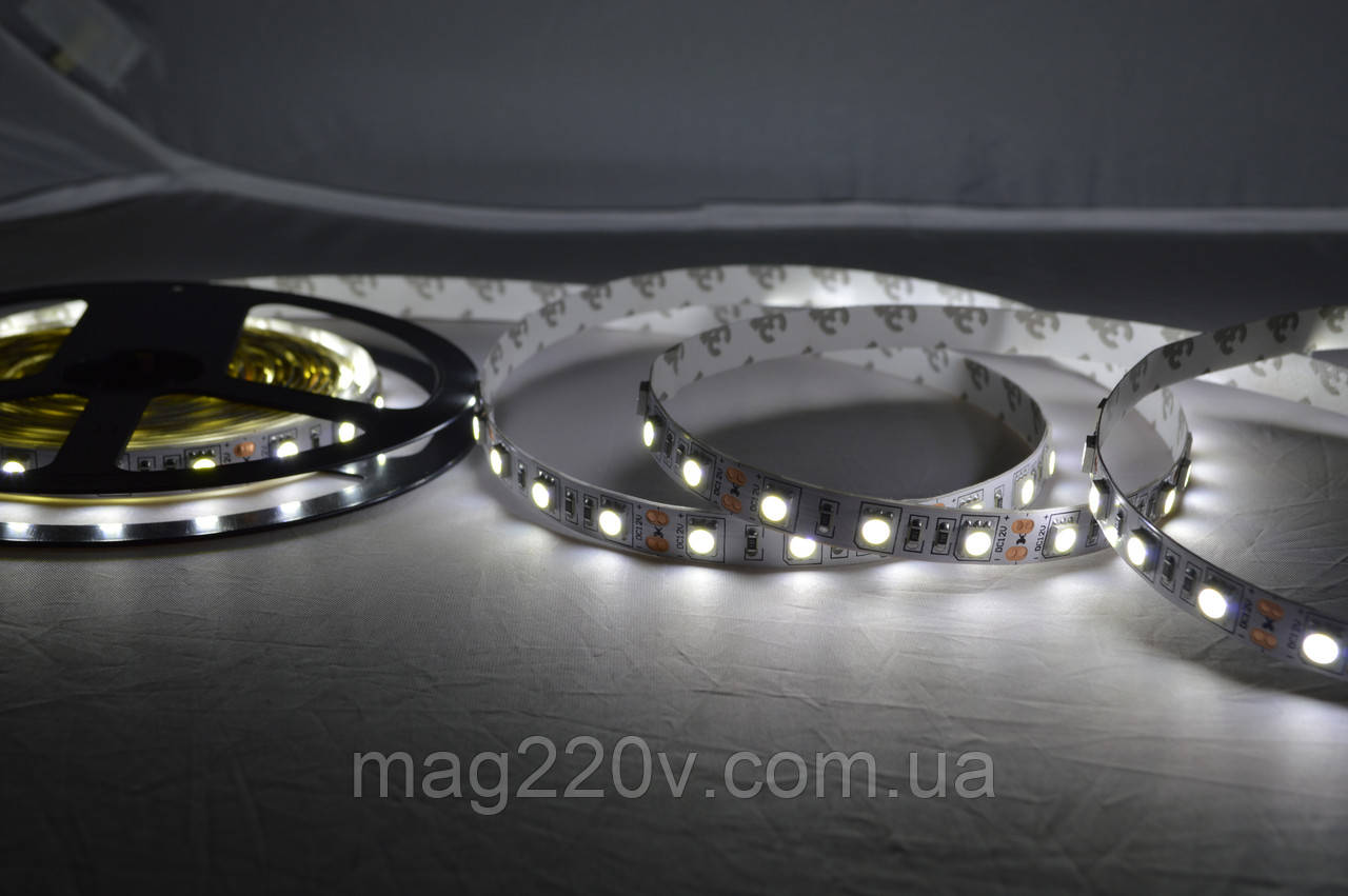 LED лента SMD5050 60 D/m IP 20 ( CW ) - фото 1 - id-p296458406