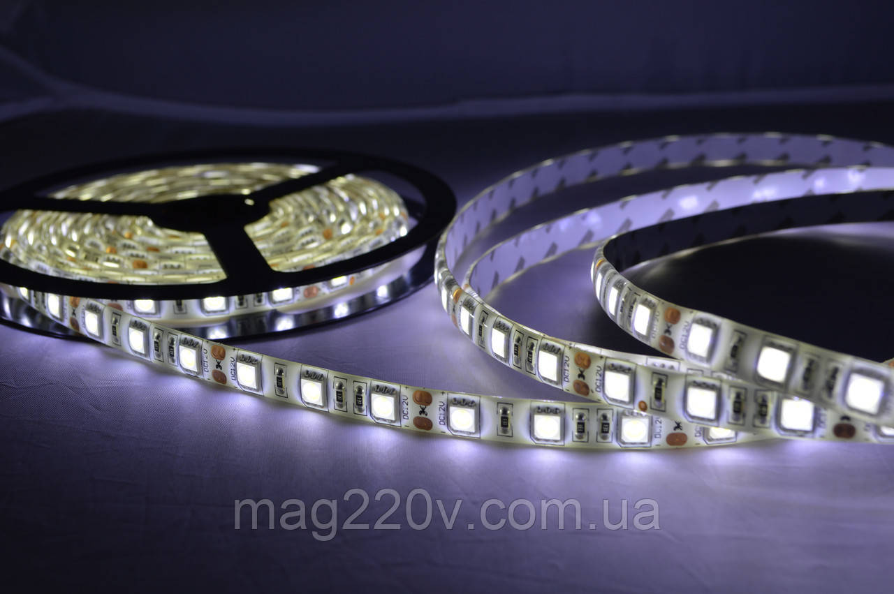 LED лента SMD5050 60 D/m IP 65 ( CW ) - фото 1 - id-p296459443