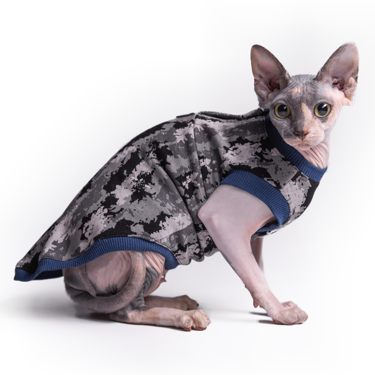 Кофта з рукавом для кота/кішки Style Pets (одяг для котів та кішок) Long (bl139) XL-