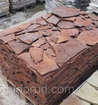 Пісковик червоний, фото 1