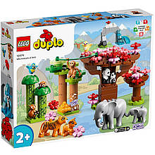 Конструктор LEGO Duplo 10974 Дикі тварини Азії