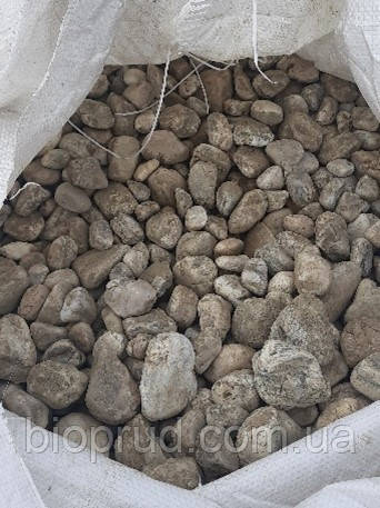 Галька (Світла)