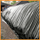 Плівка 250 мкм 3*50 м чорна поліетиленова укривна, фото 9