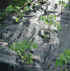 Агротканина  100 г/м2, 1,1м х 25 м. агротканина для полуниці, фото 2