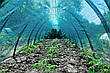 Укриття від сонця для рослин Shadow BIG 60 % 160 x 120 10 метра, фото 7