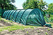 Укриття від сонця для рослин Shadow BIG 60 % 160 x 120 10 метра, фото 8